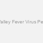 Rift Valley Fever Virus Peptide